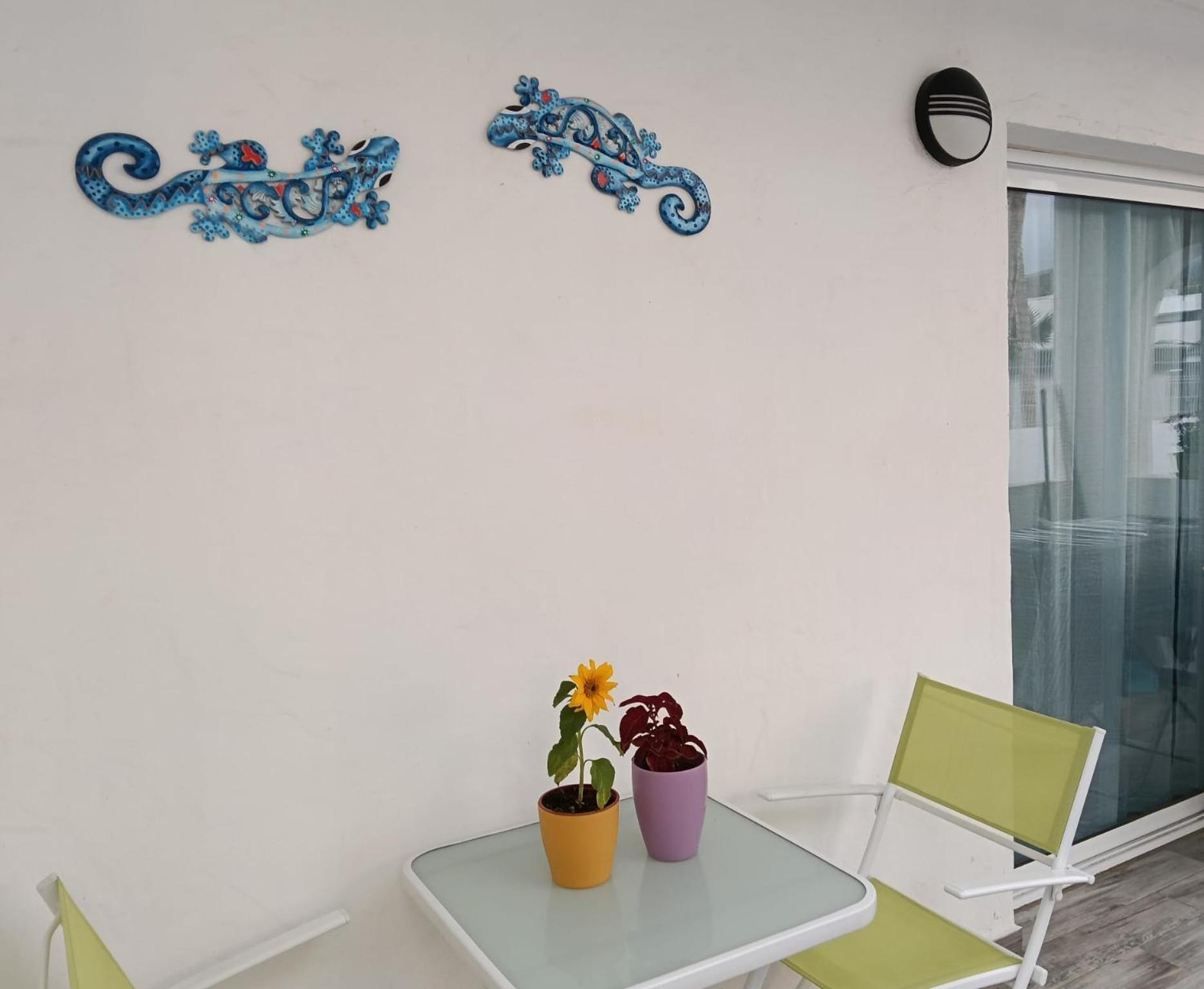 Palmas Appartement *